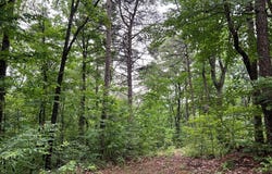 198 Log Round Mountain Trail, Ellijay, GA 30540