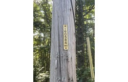 009 Morgan Bay Road, Surry, ME 04684