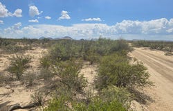 19932 Sons of Libery Rd, Terlingua, TX 79830