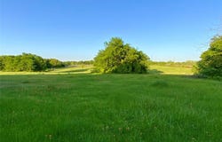 4180 FM 3371, Thornton, TX 76687