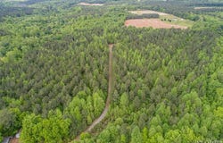 Nation Rd. lot: 2, Roanoke Rapids, NC 27870