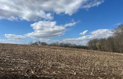 Bellview Road, FREEPORT, IL 61032