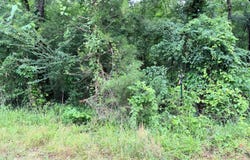 Parsons Road, Raymond, MS 39154