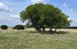 000 County Rd 269, Out of Area, TX 76561