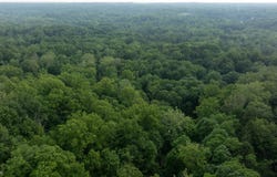 Chagrin River Road, Gates Mills, OH 44040