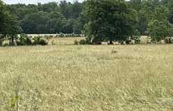 TBD N HWY 27 Highway, Story, AR 71970
