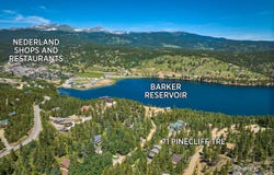 71 Pinecliff Trl, Nederland, CO 80466