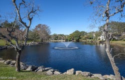 246 Timberline Trail, Ormond Beach, FL 32174