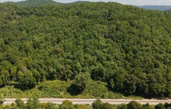 Arkle Road, Gray, KY 40734