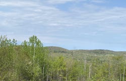 Tower Road, Vienna, ME 04360