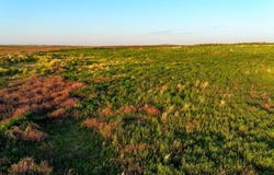 TBD Road AA, Lakin, KS 67860
