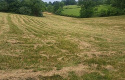 9999 McGill Wyan Road, London, KY 40744