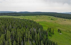 Tbd Divide Road, Neihart, MT 59465
