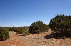 Tract 2A Camino del Sol, NM 87569