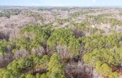 3172 Buckhorn Lane, Wake Forest, NC 27587