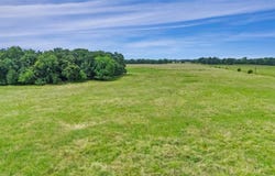 493.52 Ac Rs County Road 4515, Point, TX 75472