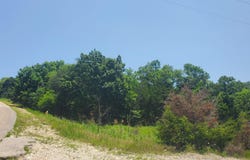 Lot 14 Hummingbird Hills, Branson, MO 65616