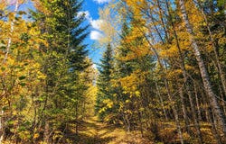 Hinkkanen Road, Floodwood, MN 55736