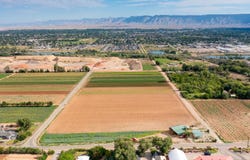 317 31 1/2 Road, Grand Junction, CO 81503
