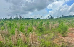 County Road 75, Clopton, AL 36317
