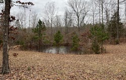 0 Wayne 443, Piedmont, MO 63957