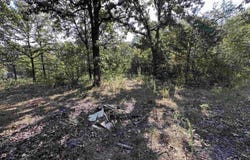 305,307 & 309 Ruby Ln, Horseshoe Bend, AR 72512