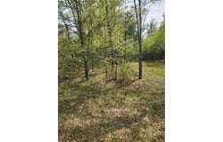 Setting Sun Trail Way lot: 69, Danbury, WI 54830