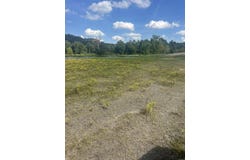 Hwy 124, Pangburn, AR 72121