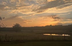 1479 Fire Tower Road, Prosperity, SC 29127