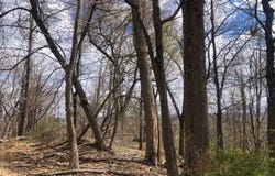 1144 N Washington Ave, Green Brook Twp., NJ 08812-2122