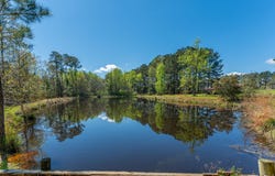21753 Fifth Avenue, Florala, AL 36442