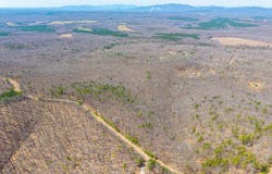 Larkin Mountain, Amherst, VA 24521