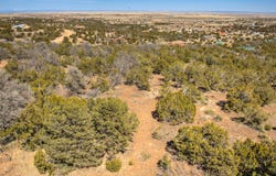 41 Snowflake Trail, Edgewood, NM 87015