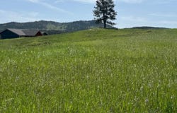 Lot 27 Park Avenue, Custer, SD 57730
