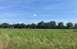 1 Rena Road lot: 1-12, Eunice, LA 70535