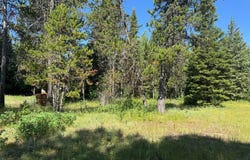 12982 Ponderosa Drive, Donnelly, ID 83615