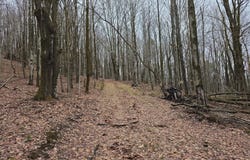 0WP State Route 26, Georgetown, NY 13832