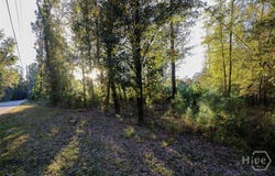 Cedar, Guyton, GA 31312