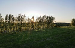 Lot 4 E John Michael Drive, Suttons Bay, MI 49682