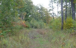 Near Half Mile Road, Herbster, WI 54844