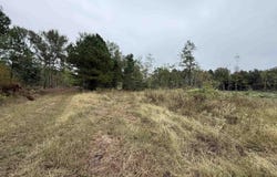 CR 314 - 15 acres, Henderson, TX 75652