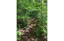 56 Acres Old Hwy 5S, Talking Rock, GA 30175