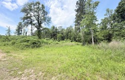 Summit Drive, Summit, MS 39666