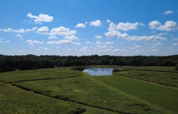 24 ac +/- Henry Hicks Road, Herod, IL 62947
