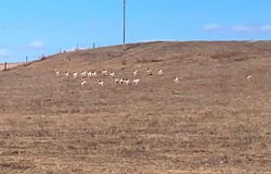 County Road 55, Ault, CO 80610