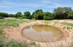 163 S FM 573, Mullin, TX 76864