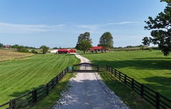 170 Stonewall Lane, Cynthiana, KY 41031