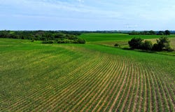 TBD 265th Ave, Lake City, MN 55041
