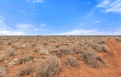 2836 Picacho Way, Williams, AZ 86046