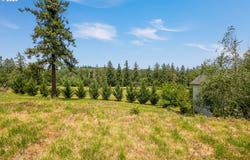 980 HOLLY AVE, Cottage Grove, OR 97424